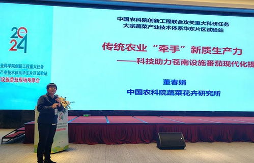 科技賦能，降本增效 中國農(nóng)科院助力設(shè)施番茄產(chǎn)業(yè)變革